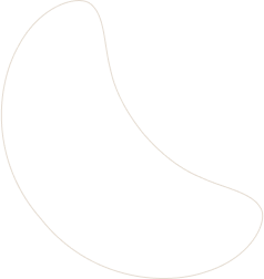 layout-slider1-021.png