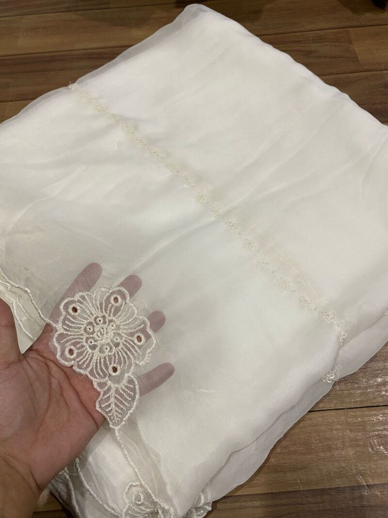 Pure Chiffon Embroidered Dupattas