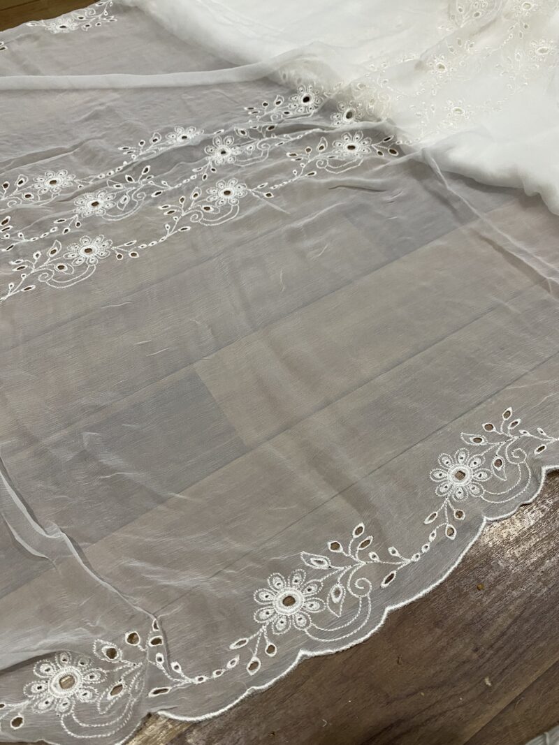 Pure chiffon Jaal embroidered dupatta