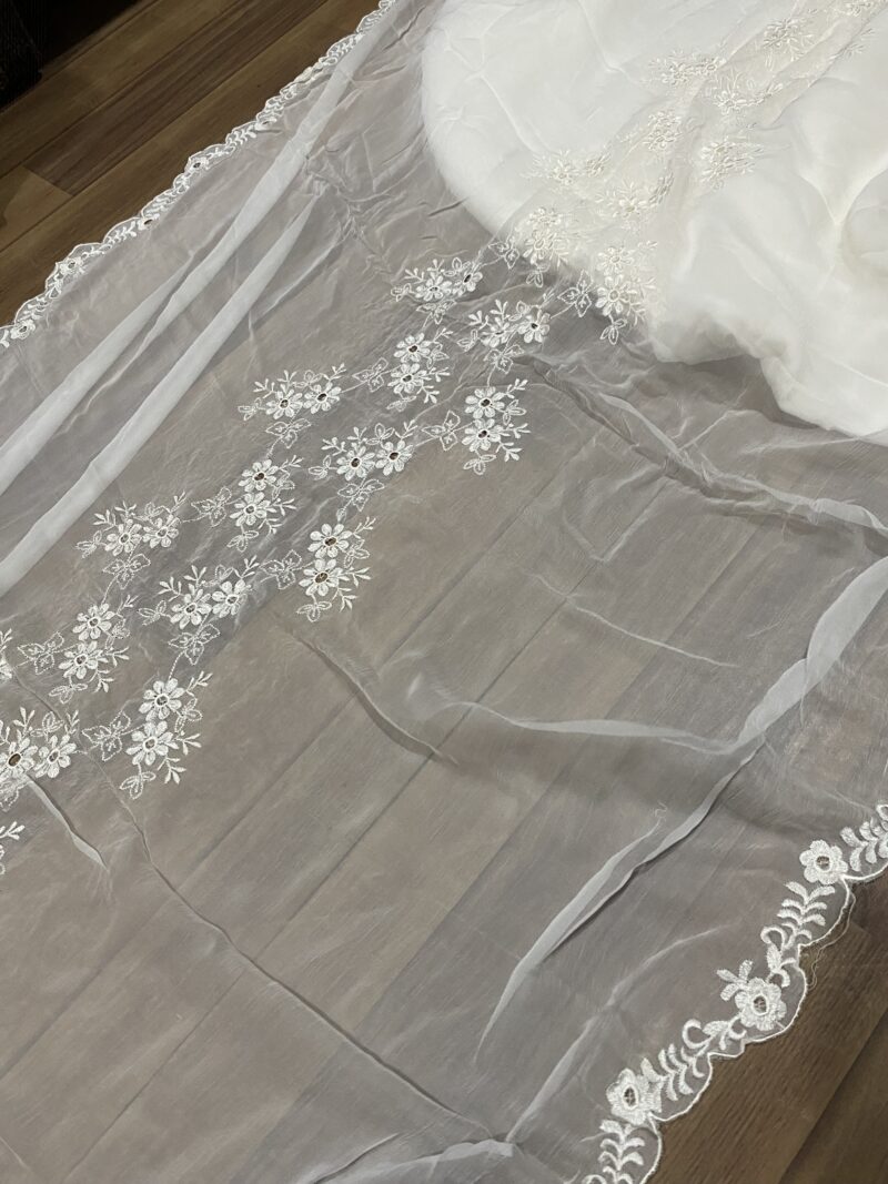 Pure Chiffon Jaal Embroidered Dupatta