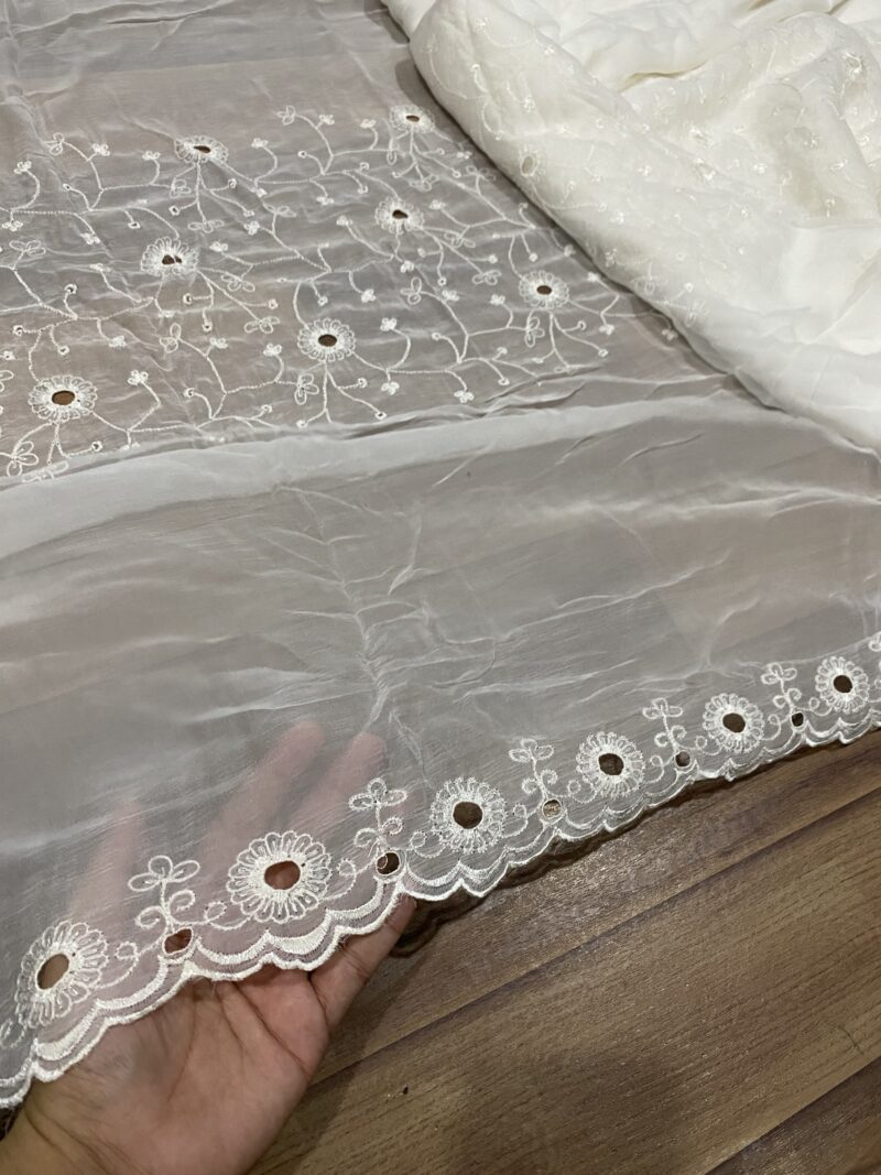 pure Chiffon Jaal Embroidered Dupatta