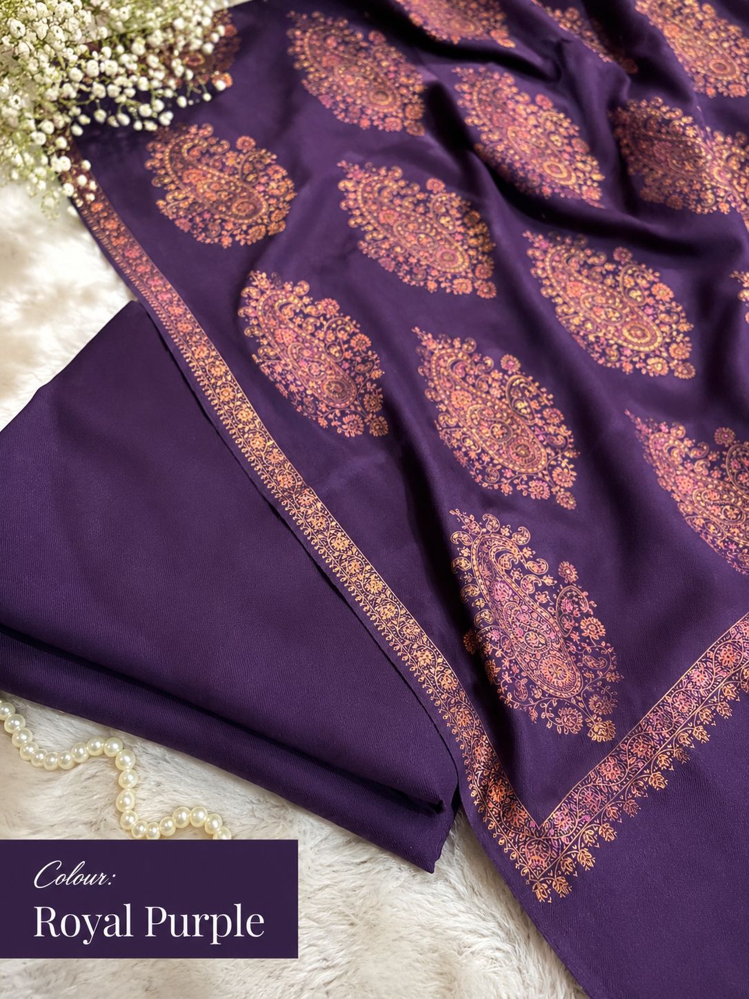 Plain Pashmina Suit with Sui-Embroidered Shawl ✨