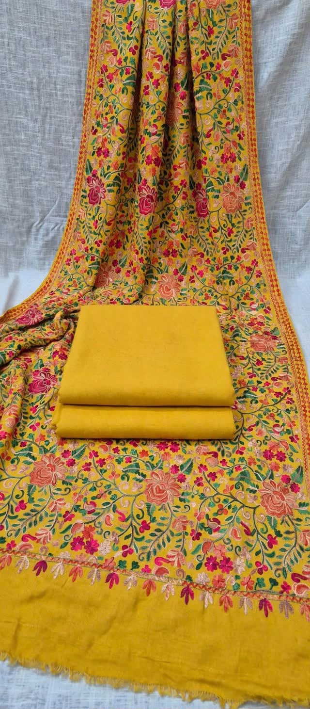 Plain Pashmina Suit with Ari Embroidered Shawl ✨