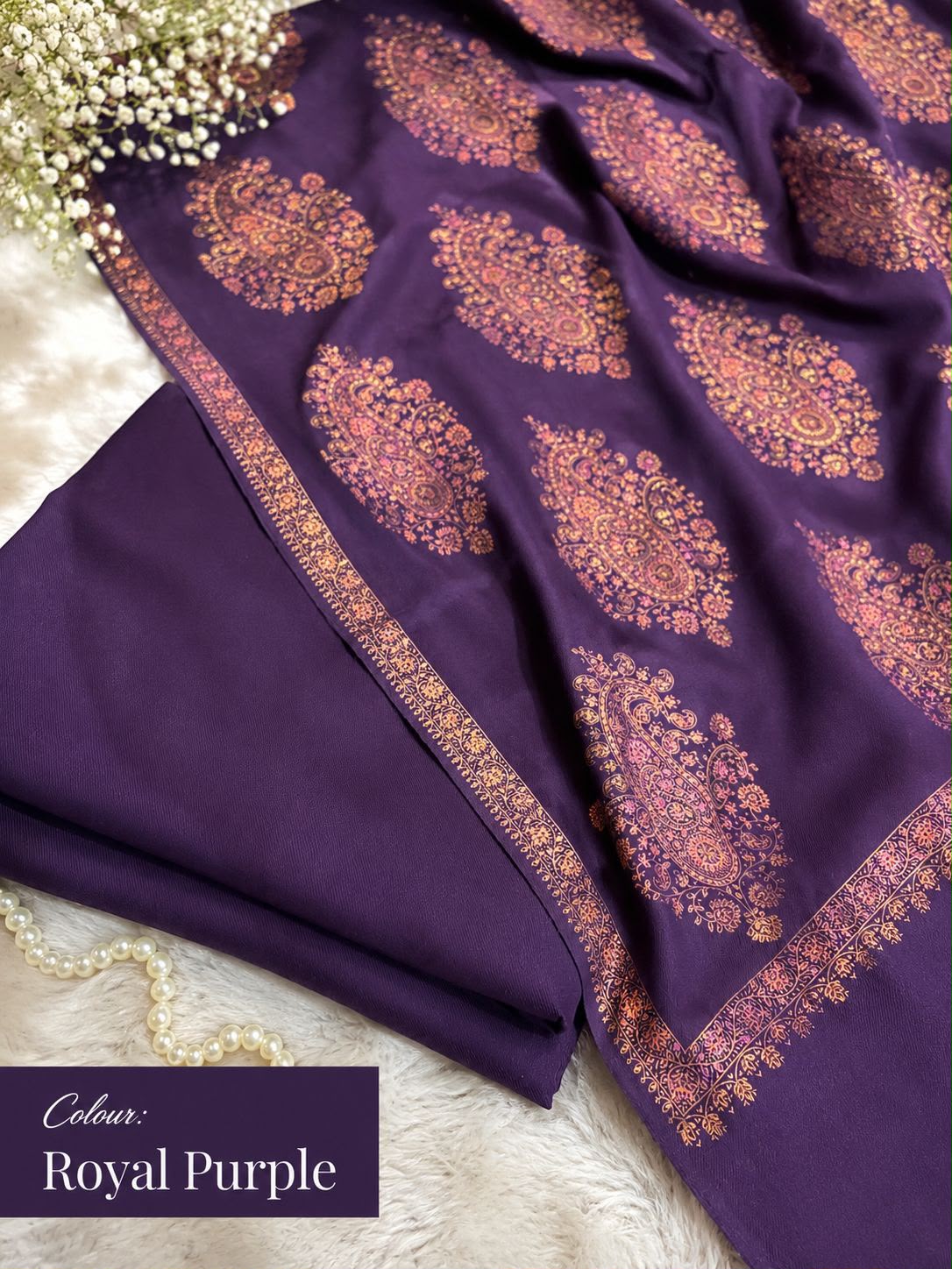 Plain Pashmina Suit with Embroidered Shawl ✨